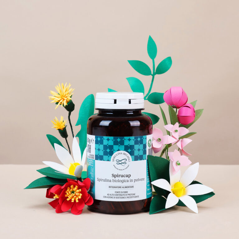 paper_flowers_set_photoshooting