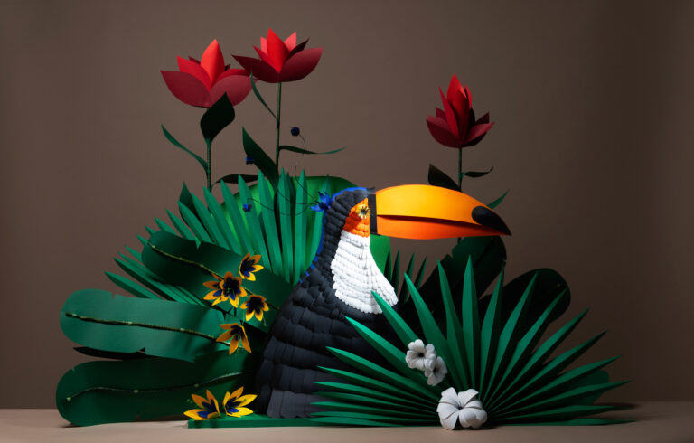 windows_display_jungle_paper_set